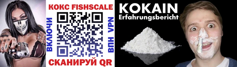 Cocaine Эквадор  продажа наркотиков  MEGA сайт  Кизляр 