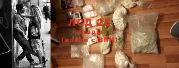 хмурый Осинники