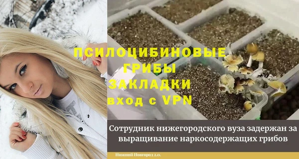 jwh Нязепетровск