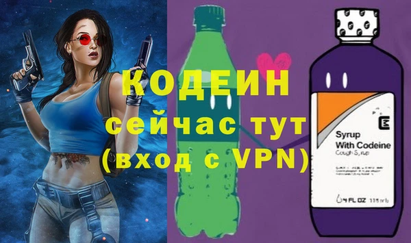 хмурый Осинники
