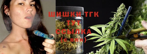 хмурый Осинники