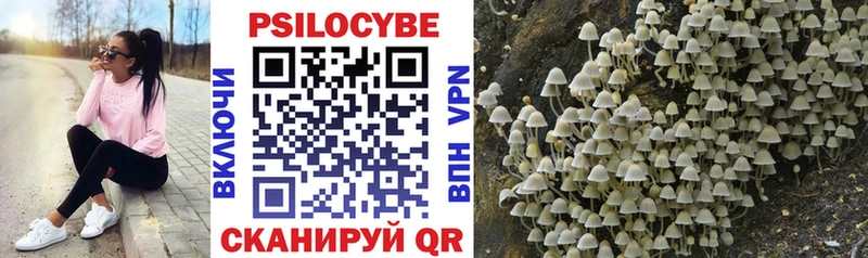 Галлюциногенные грибы Psilocybe  mega ссылки  Кизляр 