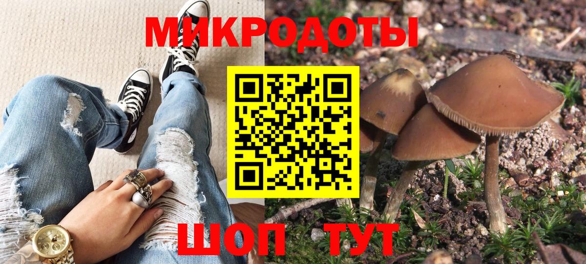 НБОМе Кизляр