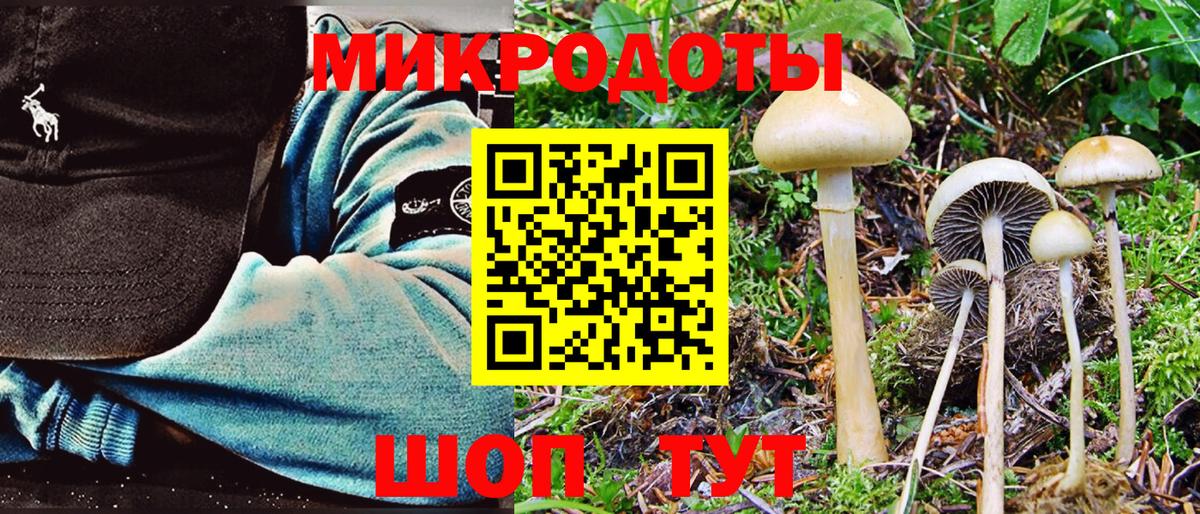 Галлюциногенные грибы Magic Shrooms Кизляр