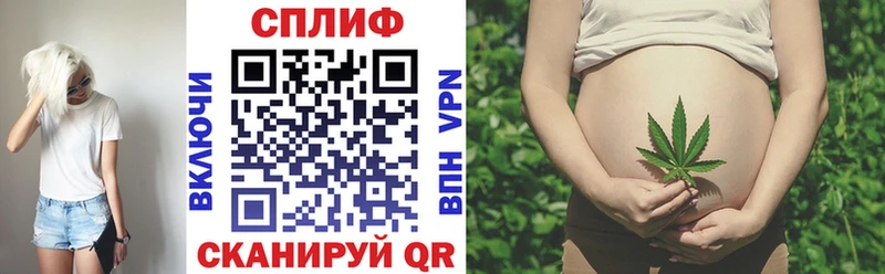 Конопля марихуана  Кизляр 
